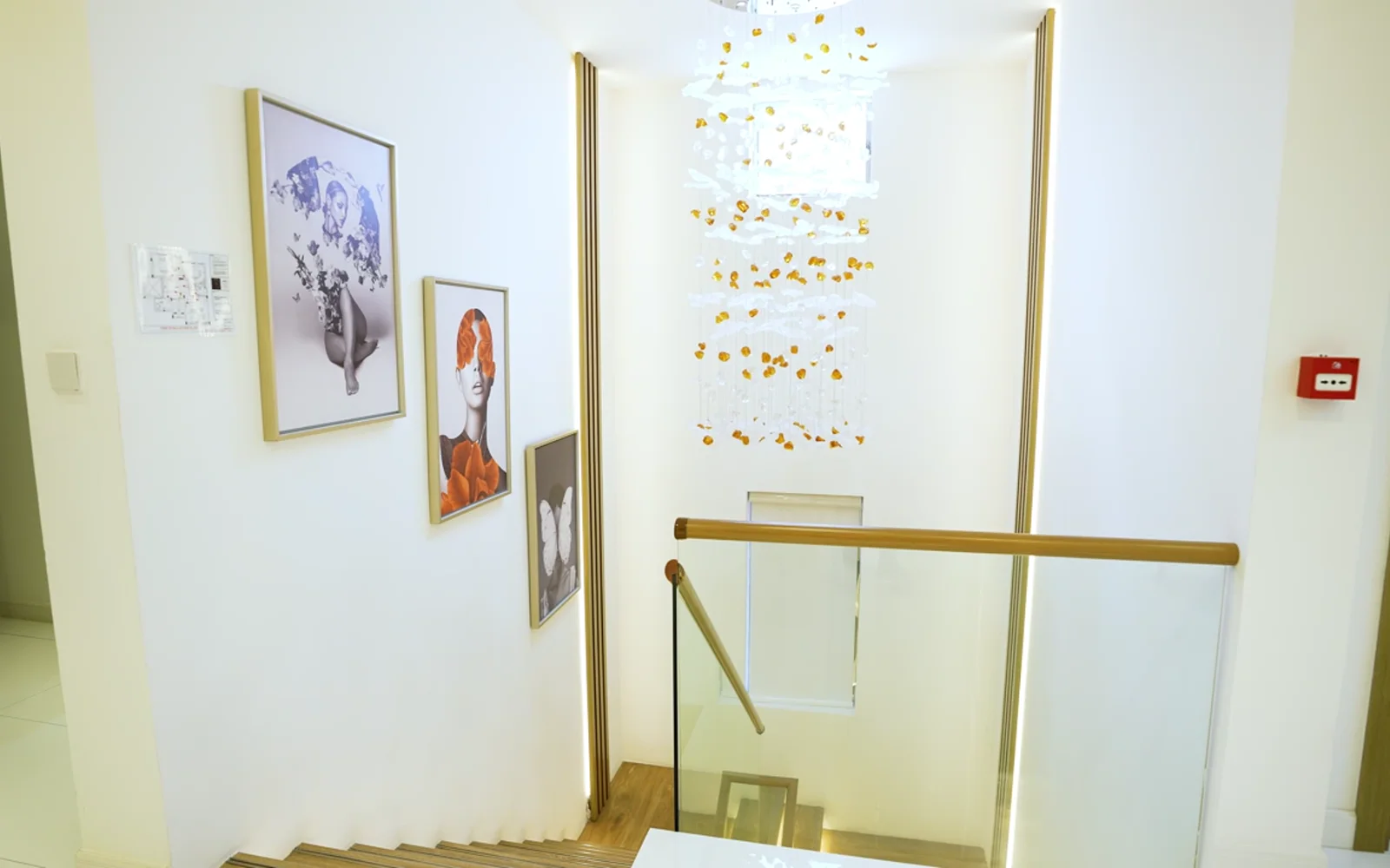 Body treatment suite